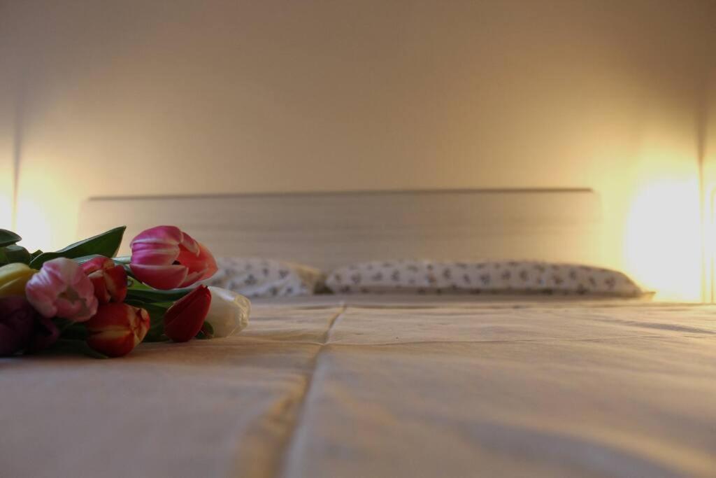 Venere Apartment Bergamo Dış mekan fotoğraf
